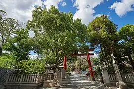 正面より