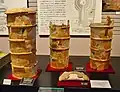 出土丹後型円筒埴輪丹後古代の里資料館展示。