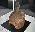 突起付冑（異形冑）