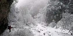 冬の太白山・羊皮溝