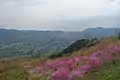 美の山から見た大霧山（右奥）