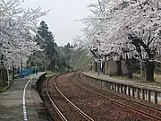 構内(2006年4月、桜の季節)