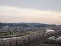 船岡城からの一目千本桜とさくら歩道橋
