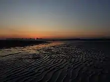 船橋市三番瀬海浜公園