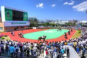 船橋競馬場(パドック)