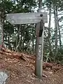 地味な山頂標識。展望はない。