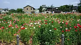 花と緑の広場