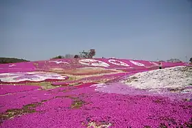 花夢の里ロクタン