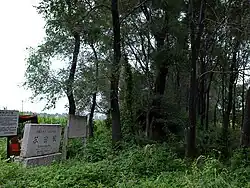 蘇密城遺跡