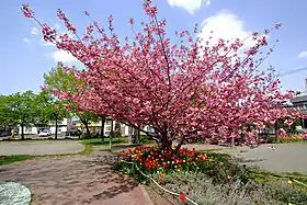 若草公園