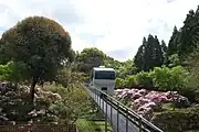 旧Aラインのスロープカーとシャクナゲ