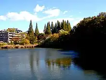 茶屋ヶ坂池
