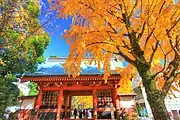 葛飾八幡宮（紅葉）