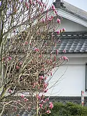 漆喰