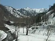 銀山平蛇子沢から望む荒沢岳