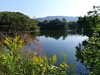 蜘蛛池