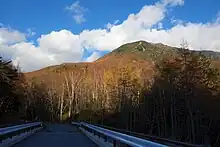 裏男体林道からの大真名子山