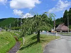 西の鯖街道（府道366号線へ）