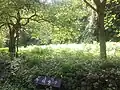 金山役所跡(西三川)