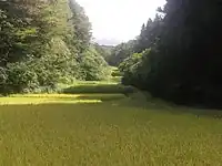 佐渡／西三川砂金山由来の棚田