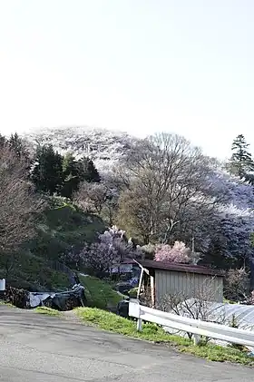 諏訪市湖南 西山公園の桜(2010年)