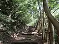 登山道