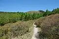 賽の河原から五葉山