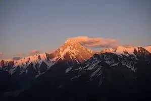 ミニヤコンカ