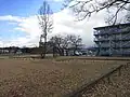 国庁跡左手前に後殿、右奥に前殿。
