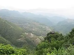 南尖岩棚田