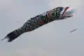 遊泳中のジャンボこいのぼり (利根川河川敷緑地公園:埼玉県加須市)