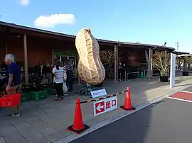 道の駅木更津うまくたの里