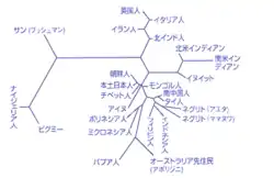 遺伝子データにもとづく系統樹