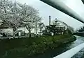 白牡丹米満醸造場(八本松)