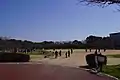 野外活動広場