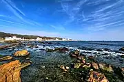 野島崎周辺の岩礁