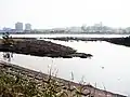 多摩川に合流する右岸。世田谷区。
