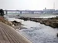 多摩川に合流する左岸(やや下流)。世田谷区。