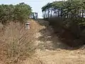 シャンツェ