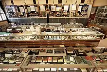 益富地学会館3会の展示室