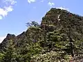 鋸山