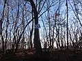 鎌倉山山頂