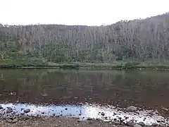 鏡池。湖底に特異な多角形状の模様が現れている。