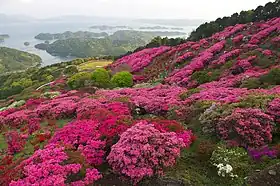 長串山公園(鹿町町長串免)