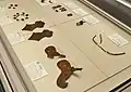長原七ノ坪古墳出土品