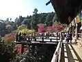 74.長谷寺