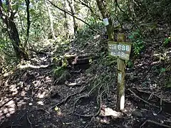 登山道８合目