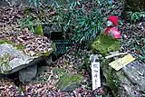 閼伽の井