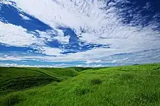 阿蘇の草原