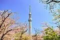12.墨田公園（左岸）